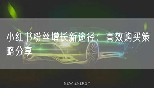 小红书粉丝增长新途径：高效购买策略分享