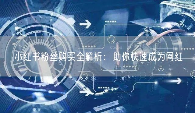 小红书粉丝购买全解析：助你快速成为网红