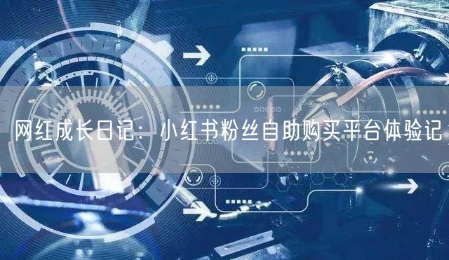 网红成长日记：小红书粉丝自助购买平台体验记