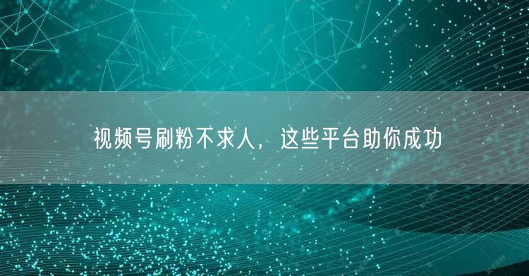 视频号刷粉不求人，这些平台助你成功