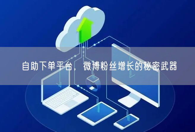 自助下单平台，微博粉丝增长的秘密武器