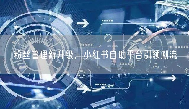 粉丝管理新升级，小红书自助平台引领潮流