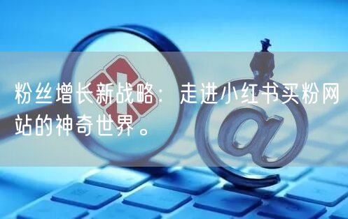 粉丝增长新战略：走进小红书买粉网站的神奇世界。