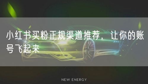 小红书买粉正规渠道推荐，让你的账号飞起来