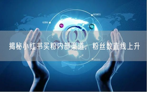 揭秘小红书买粉内部渠道，粉丝数直线上升