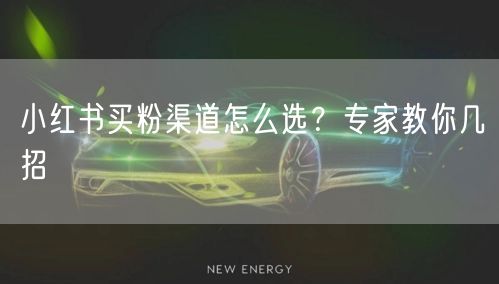 小红书买粉渠道怎么选？专家教你几招