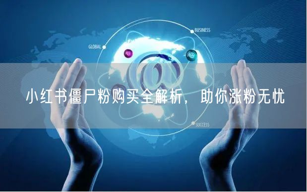 小红书僵尸粉购买全解析，助你涨粉无忧
