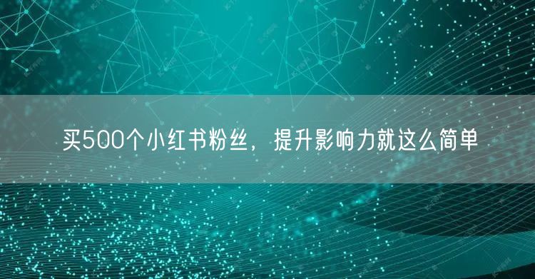 买500个小红书粉丝，提升影响力就这么简单