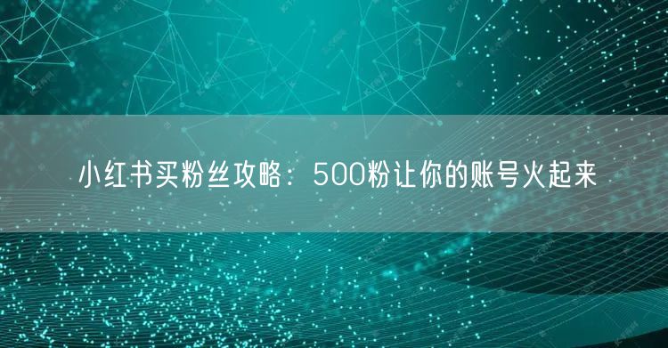 小红书买粉丝攻略：500粉让你的账号火起来