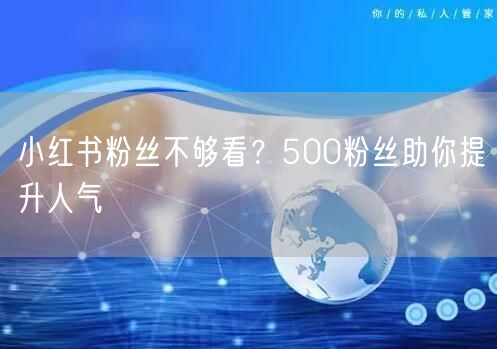 小红书粉丝不够看？500粉丝助你提升人气