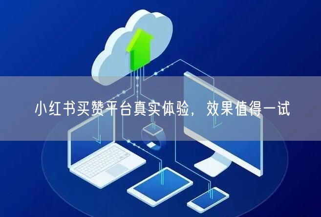 小红书买赞平台真实体验，效果值得一试